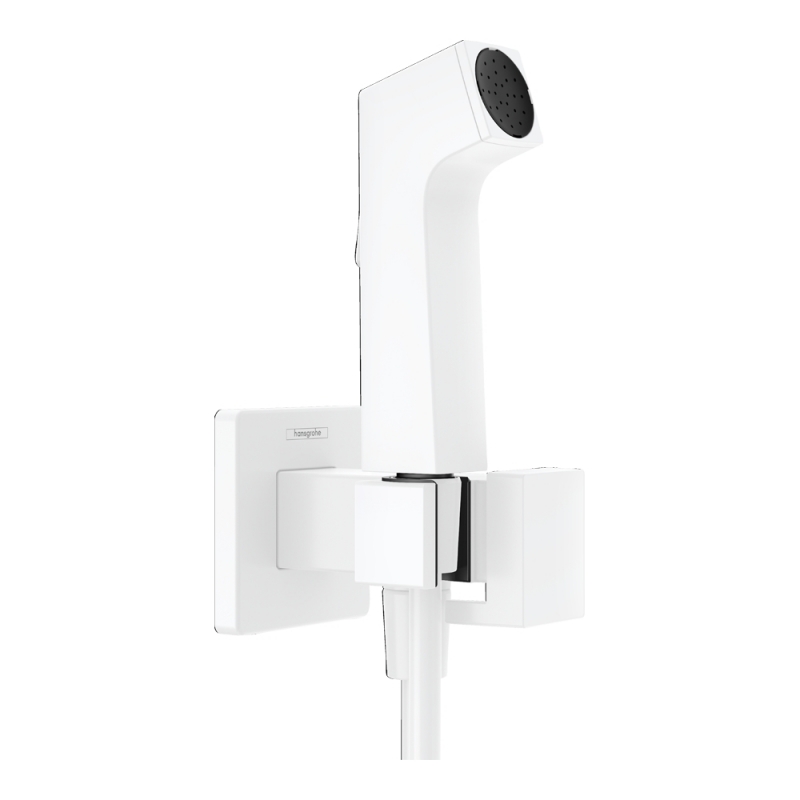   Hansgrohe Bidette E 1jet EcoSmart 29233700   ( ),  